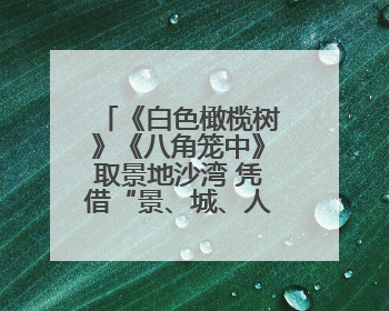 《白色橄榄树》《八角笼中》取景地沙湾 凭借“景、城、人”火爆出圈丨新闻发布最前线