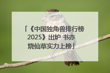《中国独角兽排行榜2025》出炉 书亦烧仙草实力上榜