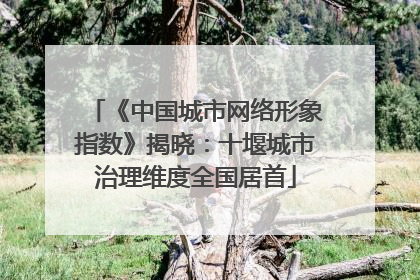 《中国城市网络形象指数》揭晓：十堰城市治理维度全国居首