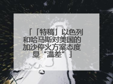 「特稿」以色列和哈马斯对美国的加沙停火方案态度显“温差”