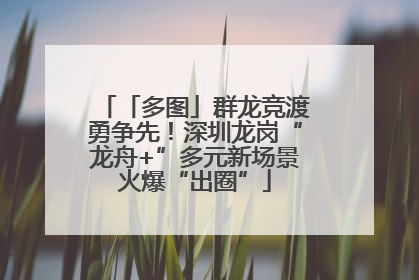「多图」群龙竞渡勇争先！深圳龙岗“龙舟+”多元新场景火爆“出圈”