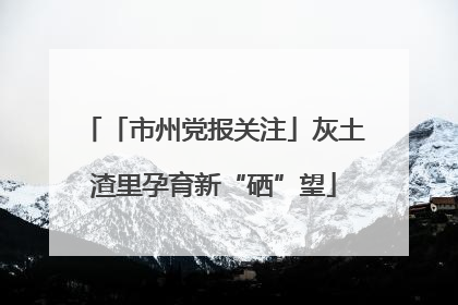 「市州党报关注」灰土渣里孕育新“硒”望