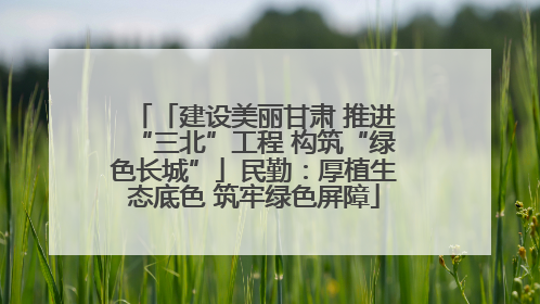 「建设美丽甘肃 推进“三北”工程 构筑“绿色长城”」民勤：厚植生态底色 筑牢绿色屏障
