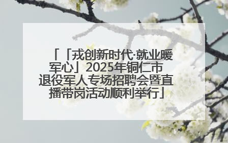 「戎创新时代·就业暖军心」2025年铜仁市退役军人专场招聘会暨直播带岗活动顺利举行