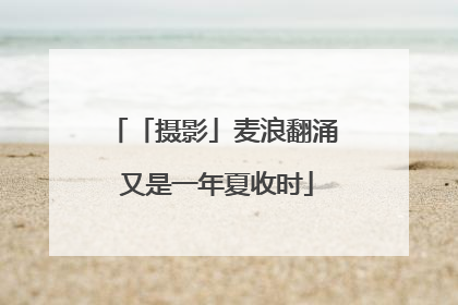 「摄影」麦浪翻涌 又是一年夏收时