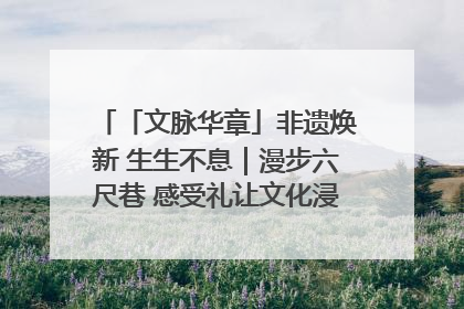 「文脉华章」非遗焕新 生生不息｜漫步六尺巷 感受礼让文化浸润的“巷”往生活