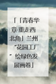 「青春华章·重走西北角」兰州“花园工厂”绘绿色发展画卷