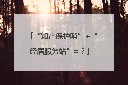 “知产保护哨”+“经盾服务站”=？