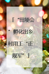 “田埂会”孵化出乡村用工“正规军”