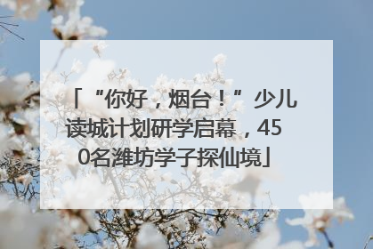 “你好，烟台！”少儿读城计划研学启幕，450名潍坊学子探仙境