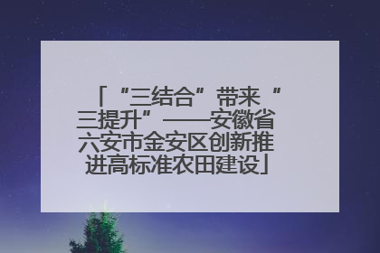 “三结合”带来“三提升”——安徽省六安市金安区创新推进高标准农田建设
