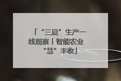 “三夏”生产一线观察丨智能农业“慧”丰收