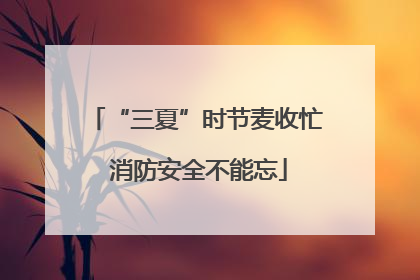 “三夏”时节麦收忙 消防安全不能忘