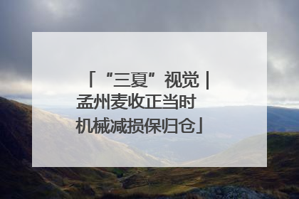 “三夏”视觉｜孟州麦收正当时 机械减损保归仓