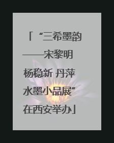 “三希墨韵——宋黎明 杨稳新 丹萍水墨小品展”在西安举办