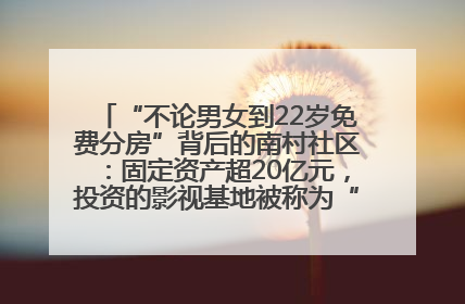 “不论男女到22岁免费分房”背后的南村社区：固定资产超20亿元，投资的影视基地被称为“山村好莱坞”