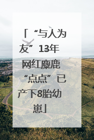 “与人为友”13年 网红麋鹿“点点”已产下8胎幼崽