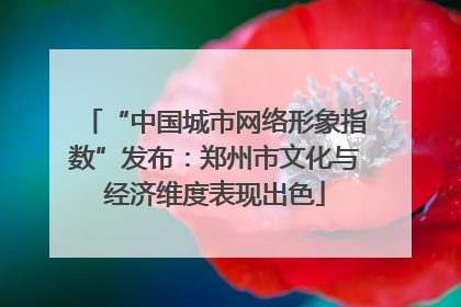 “中国城市网络形象指数”发布：郑州市文化与经济维度表现出色