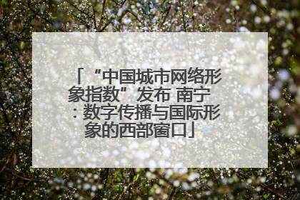 “中国城市网络形象指数”发布 南宁：数字传播与国际形象的西部窗口