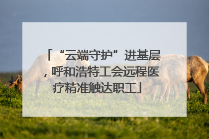 “云端守护”进基层，呼和浩特工会远程医疗精准触达职工