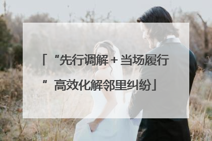 “先行调解＋当场履行”高效化解邻里纠纷