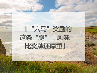 “六马”奖励的这条“腿”，风味比奖牌还厚重