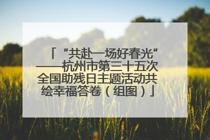“共赴一场好春光”——杭州市第三十五次全国助残日主题活动共绘幸福答卷（组图）