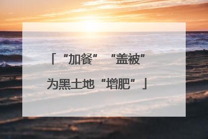 “加餐”“盖被” 为黑土地“增肥”