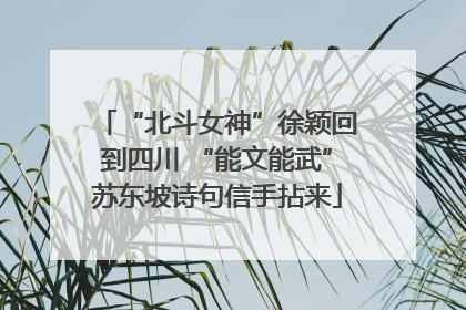 “北斗女神”徐颖回到四川 “能文能武”苏东坡诗句信手拈来