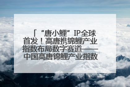 “唐小鲤”IP全球首发！高唐携锦鲤产业指数布局数字赛道——中国高唐锦鲤产业指数暨“唐小鲤”IP全球首发仪式在杭州举行