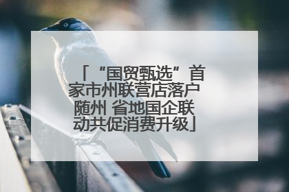 “国贸甄选”首家市州联营店落户随州 省地国企联动共促消费升级
