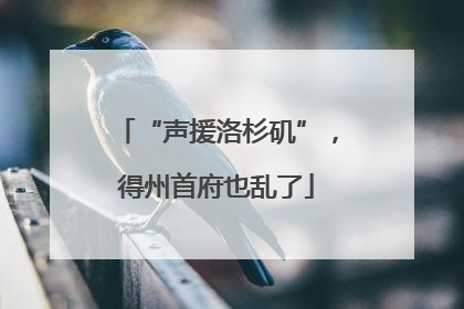 “声援洛杉矶”，得州首府也乱了