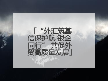 “外汇筑基 信保护航 银企同行” 共促外贸高质量发展