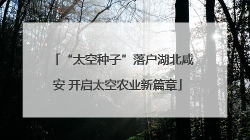 “太空种子”落户湖北咸安 开启太空农业新篇章