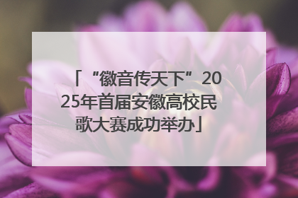 “徽音传天下”2025年首届安徽高校民歌大赛成功举办