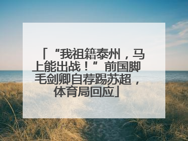 “我祖籍泰州，马上能出战！”前国脚毛剑卿自荐踢苏超，体育局回应