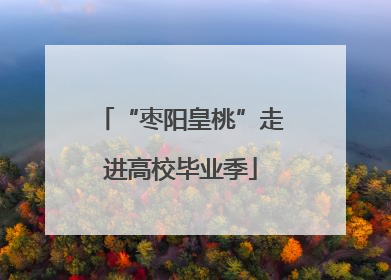 “枣阳皇桃”走进高校毕业季