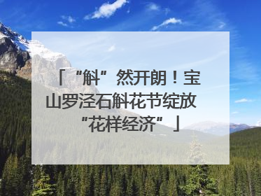 “斛”然开朗！宝山罗泾石斛花节绽放“花样经济”