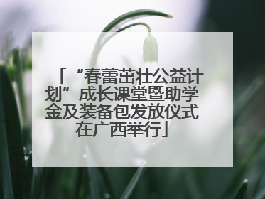 “春蕾茁壮公益计划”成长课堂暨助学金及装备包发放仪式在广西举行