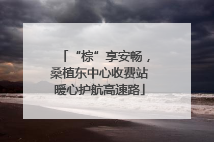 “棕”享安畅，桑植东中心收费站暖心护航高速路
