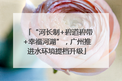 “河长制+碧道碧带+幸福河湖”，广州推进水环境提档升级