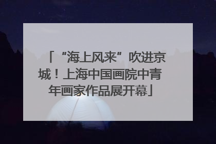 “海上风来”吹进京城！上海中国画院中青年画家作品展开幕