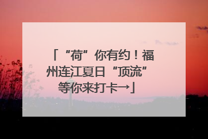 “荷”你有约！福州连江夏日“顶流”等你来打卡→