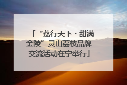 “荔行天下・甜满金陵”灵山荔枝品牌交流活动在宁举行