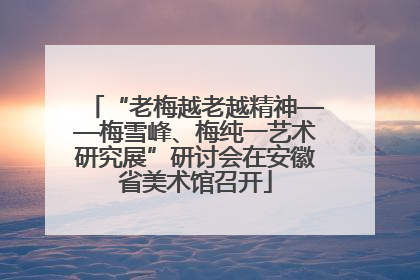 “老梅越老越精神——梅雪峰、梅纯一艺术研究展”研讨会在安徽省美术馆召开