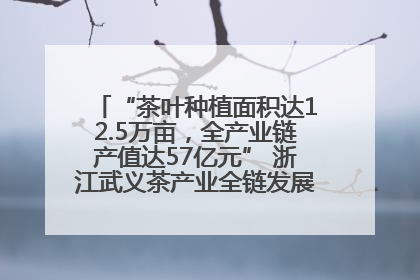 “茶叶种植面积达12.5万亩，全产业链产值达57亿元” 浙江武义茶产业全链发展“加速度”