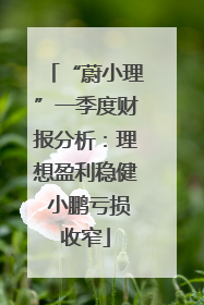 “蔚小理”一季度财报分析：理想盈利稳健 小鹏亏损收窄