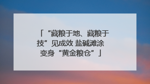 “藏粮于地、藏粮于技”见成效 盐碱滩涂变身“黄金粮仓”
