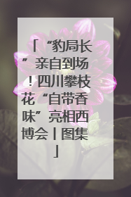 “豹局长”亲自到场！四川攀枝花“自带香味”亮相西博会丨图集