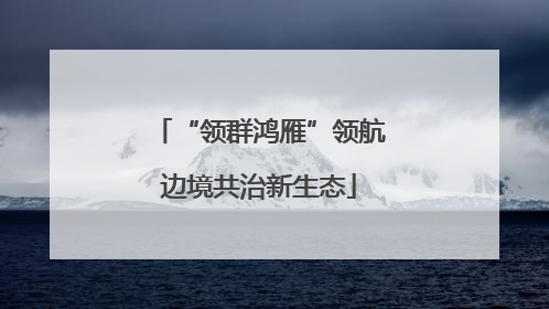 “领群鸿雁”领航边境共治新生态